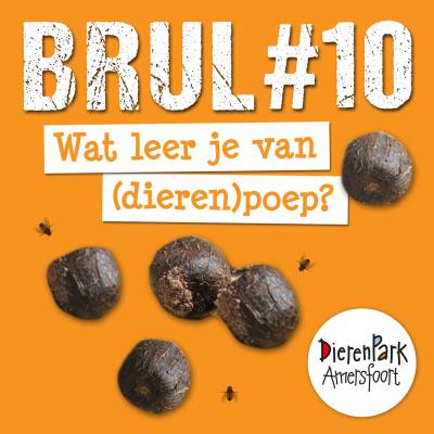 BRUL | Dé dierenpodcast voor kinderen | Wat leer je van (dieren)poep ...